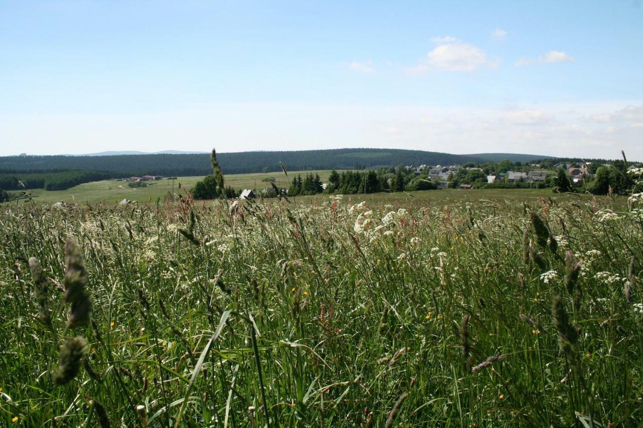 Landhaus Edelweiss Bed&Breakfast - Adults Only Neustadt am Rennsteig Εξωτερικό φωτογραφία